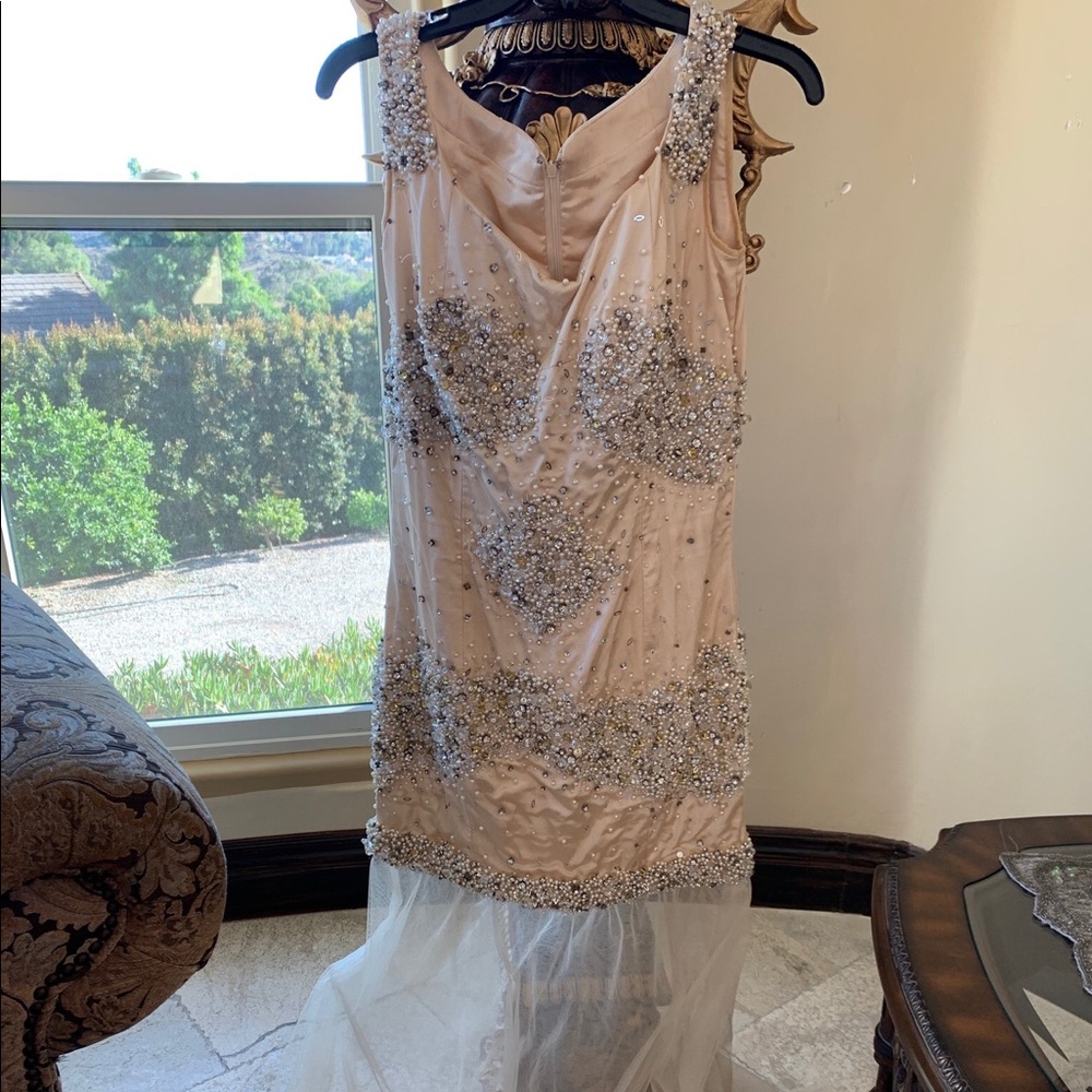 Pink Dress with Sheer Skirt